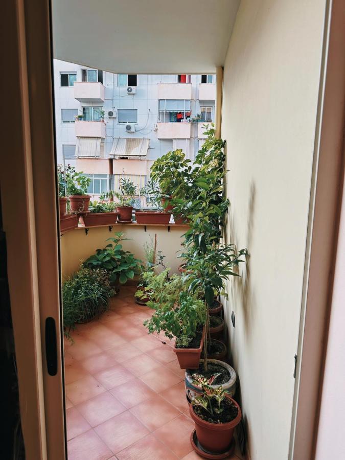 Bed & Breakfast Mina Tirana Exterior photo